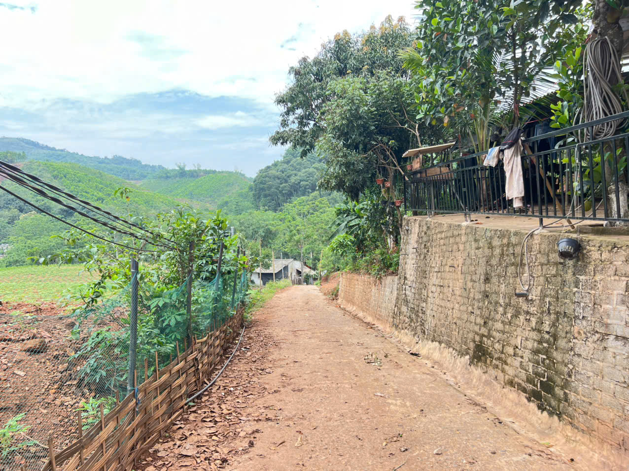 Bán 3330M_sẵn 400M thổ cư đất view thung lũng ruộng bậc thang siêu đẹp_Cao Phong Hoà Bình_1,x tỷ - Ảnh chính